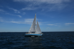 VNC_4301