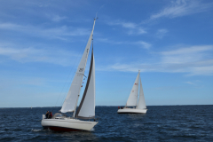 VNC_4307