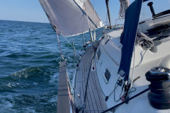 F53D03EE-5262-4A7D-A32A-A9034E53A8FF_1_105_c