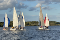 993B7ADA-30CC-4595-9748-DD5B6EA82378_1_102_a