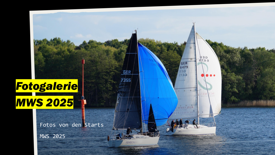 Fotos MWS 2025