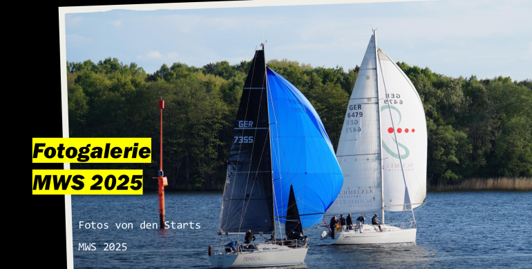 Fotos MWS 2025